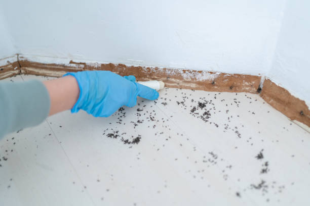 Best Residential Pest Control  in Pleasanton, KS